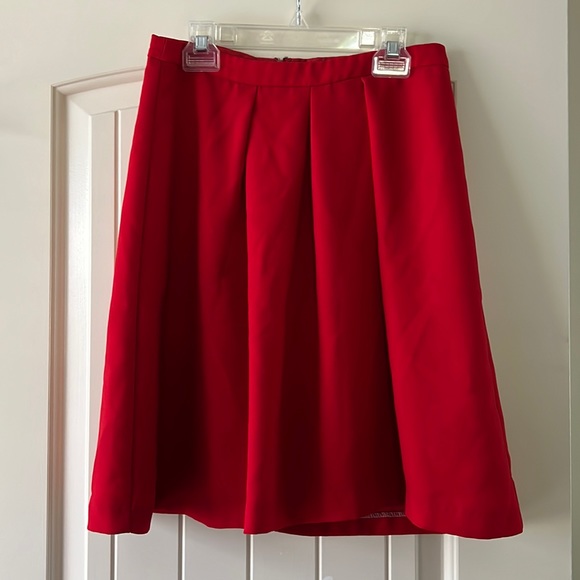 Limited Skirt - Picture 1 of 4